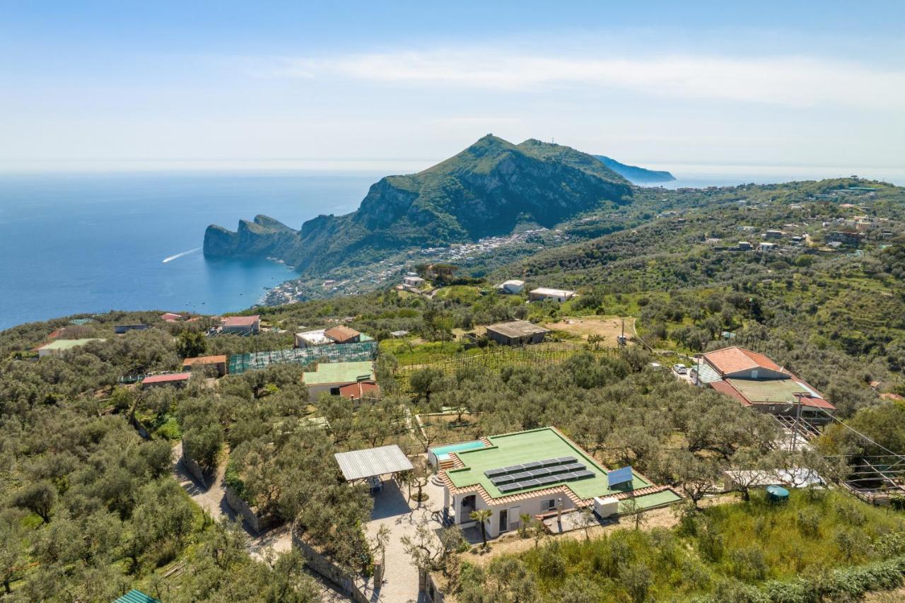 Villa Rusinella Minimalist Retreat With Sea Views Масса-Лубренсе Екстер'єр фото